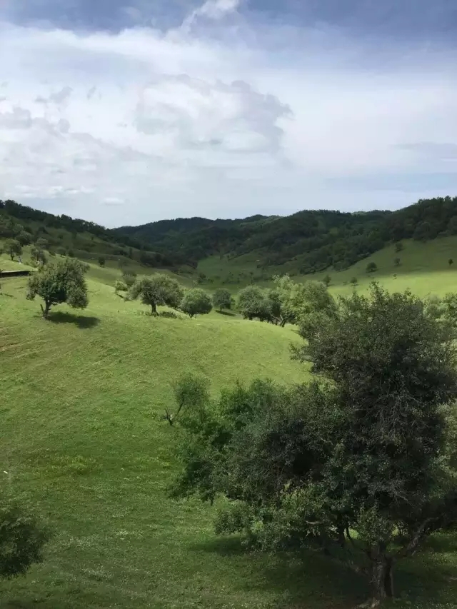 俄罗斯·专享会(中国集团)官方网站