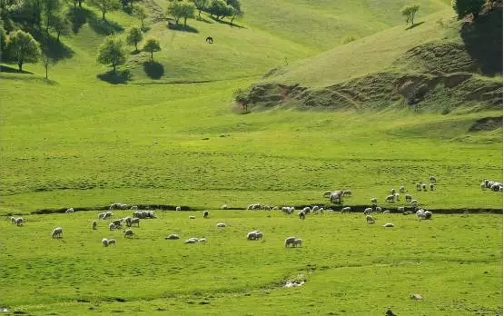 俄罗斯·专享会(中国集团)官方网站