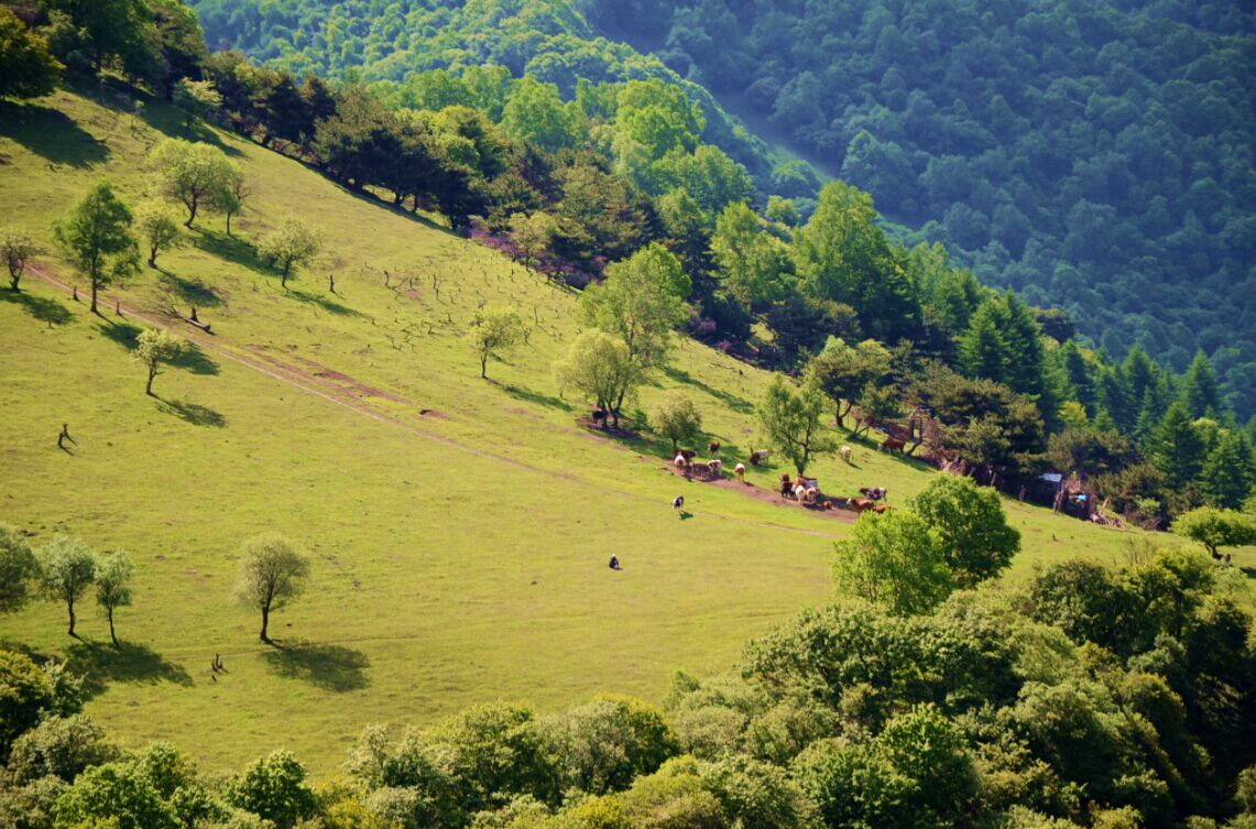 俄罗斯·专享会(中国集团)官方网站