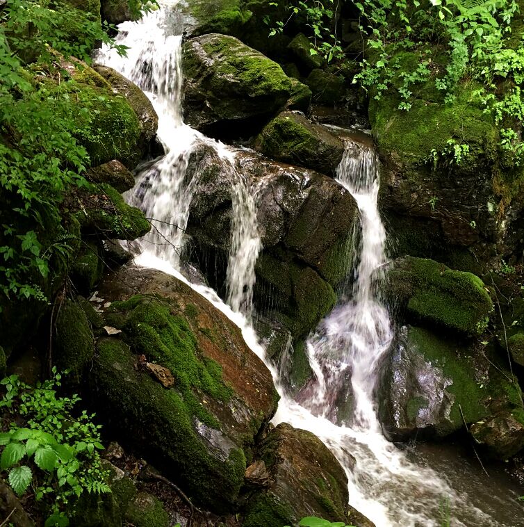 俄罗斯·专享会(中国集团)官方网站