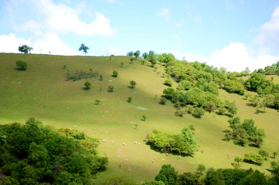 俄罗斯·专享会(中国集团)官方网站