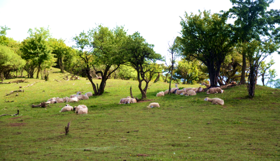 俄罗斯·专享会(中国集团)官方网站