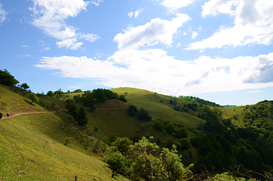 俄罗斯·专享会(中国集团)官方网站