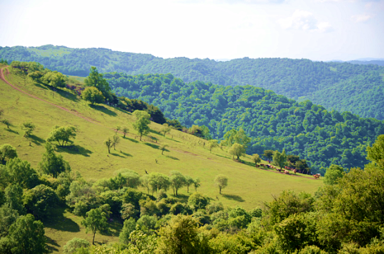 俄罗斯·专享会(中国集团)官方网站