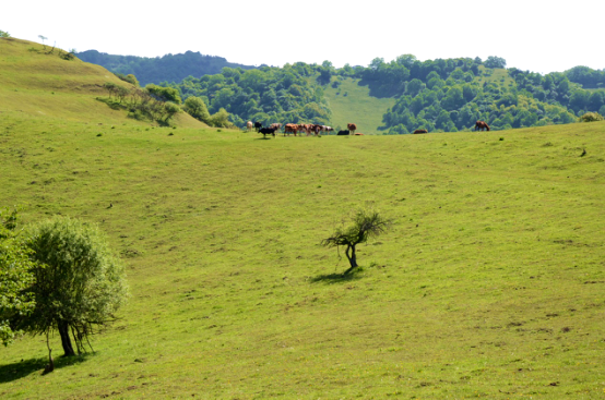 俄罗斯·专享会(中国集团)官方网站
