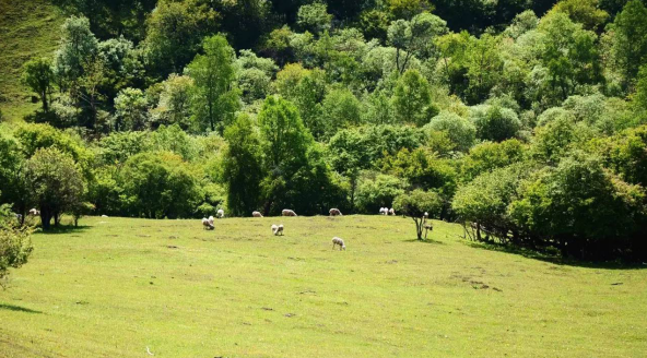 俄罗斯·专享会(中国集团)官方网站