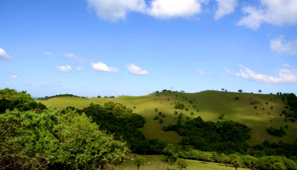 俄罗斯·专享会(中国集团)官方网站