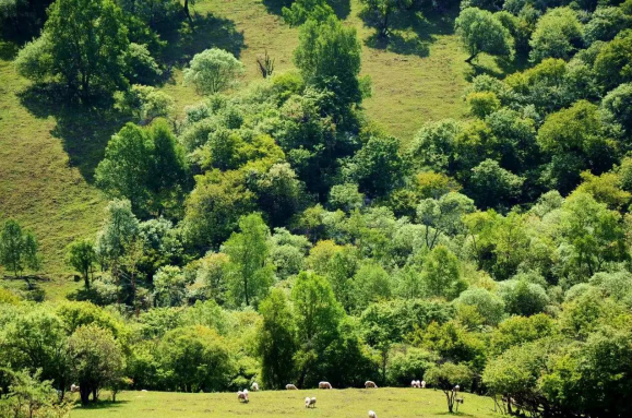 俄罗斯·专享会(中国集团)官方网站