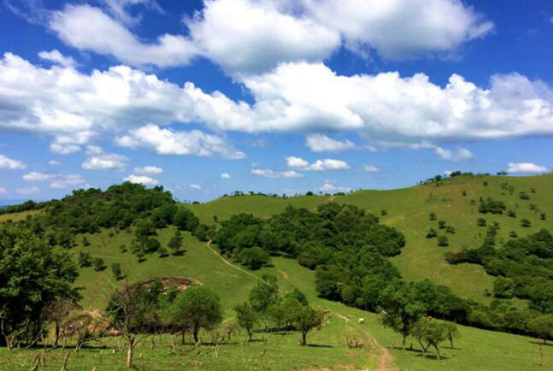 俄罗斯·专享会(中国集团)官方网站