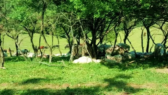 俄罗斯·专享会(中国集团)官方网站