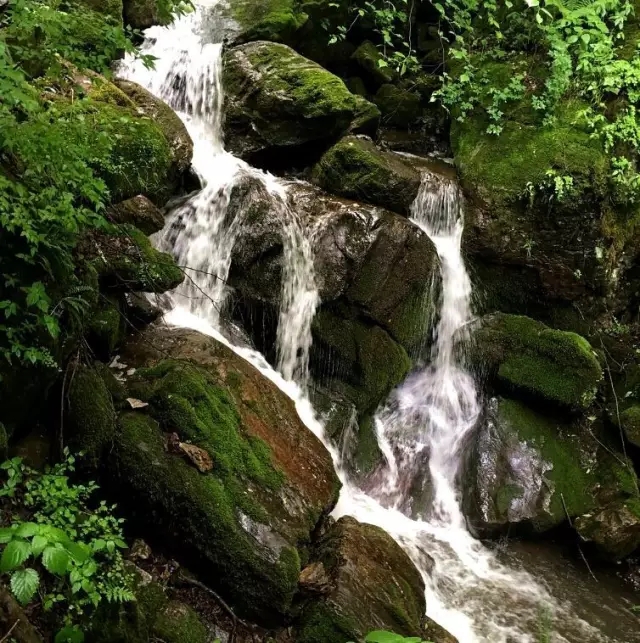 俄罗斯·专享会(中国集团)官方网站