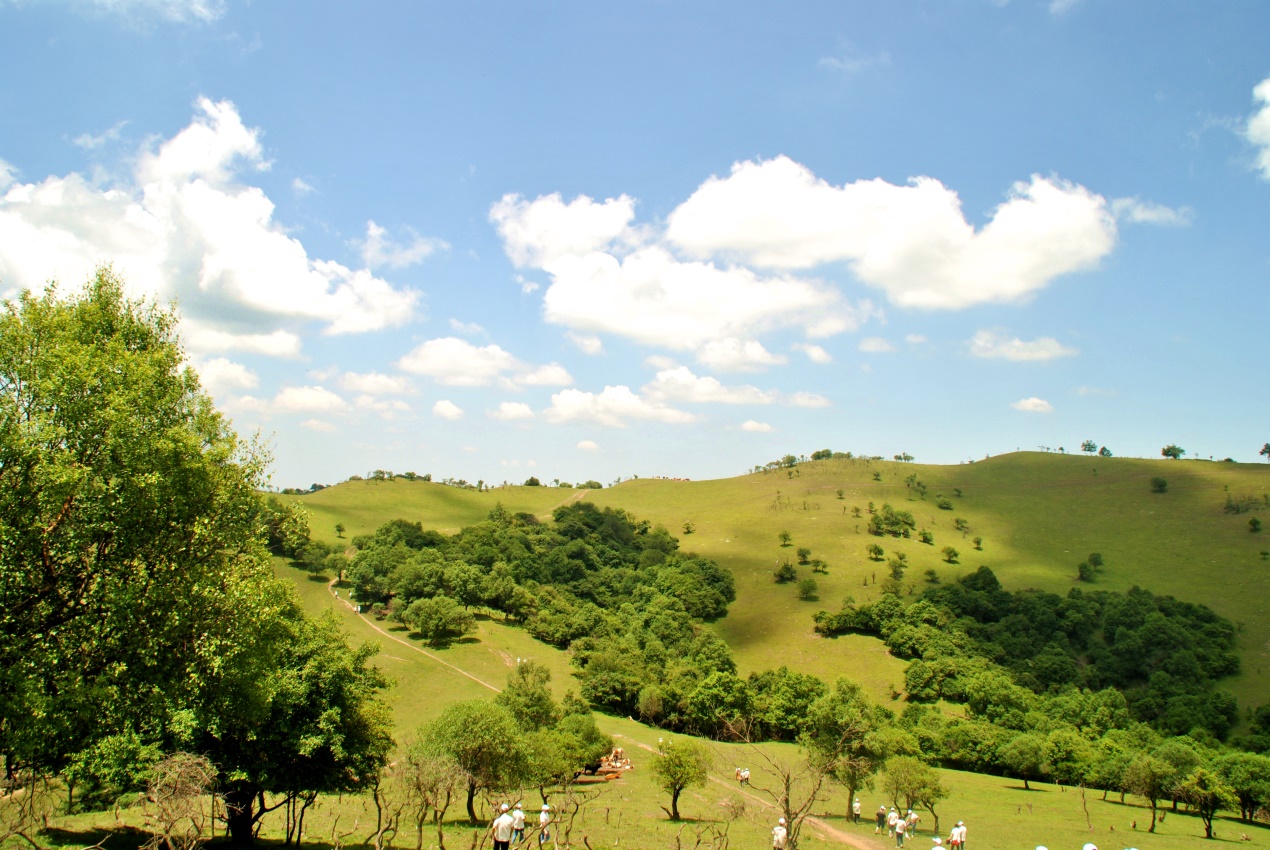 俄罗斯·专享会(中国集团)官方网站