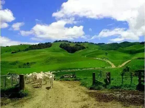 俄罗斯·专享会(中国集团)官方网站