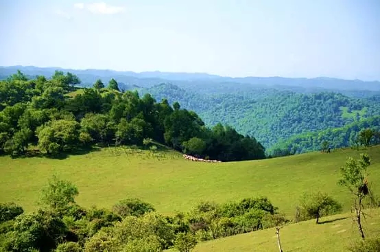 俄罗斯·专享会(中国集团)官方网站